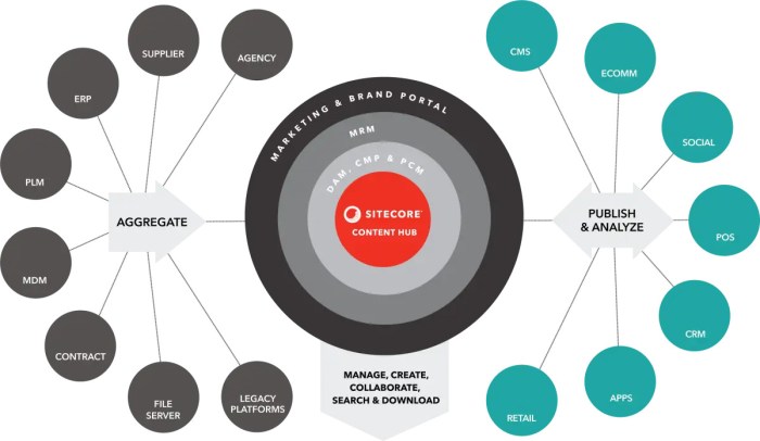 Launching a Content Hub